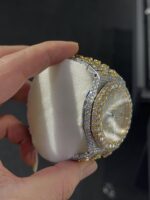 AP Moissanite bussdown Two Tone - Image 2