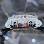 Iced-Out Casio G-Shock with Diamond Bezel - Image 4